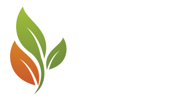 logo_naturas_pedras_df_x2